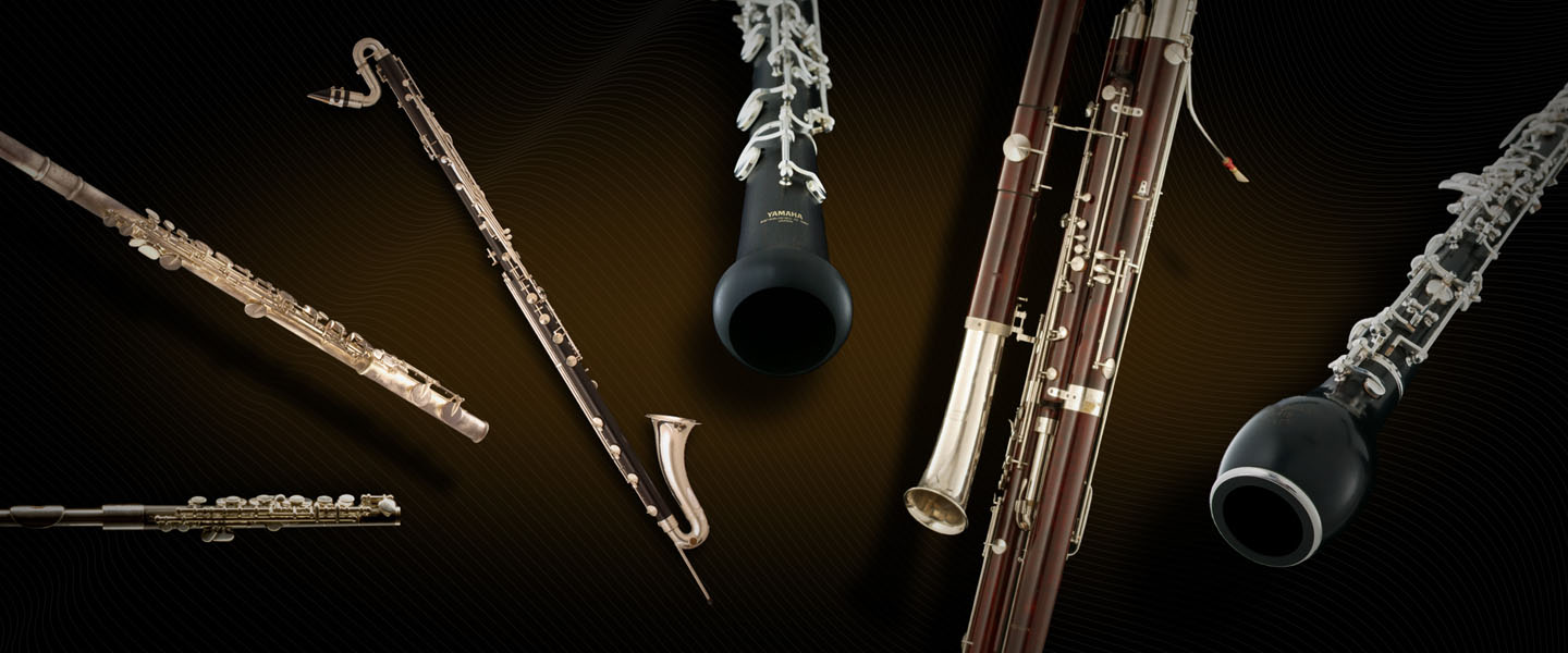 WOODWINDS II Vienna Symphonic Library